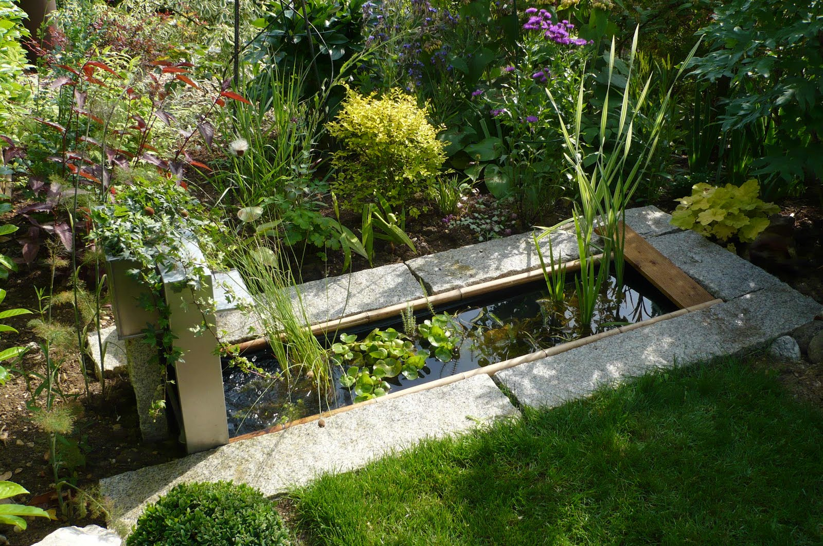 4 Moyens D'introduire Votre Plan D'eau Au Jardin | Jardinier ... à Bassin De Jardin Rectangulaire