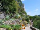 6 Plantes À Choisir Pour Un Beau Jardin Méditerranéen ... serapportantà Exemple De Jardin Méditerranéen
