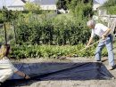 6 Techniques Imparables Pour Se Débarrasser Des Mauvaises ... avec Bache Mauvaise Herbe Jardin