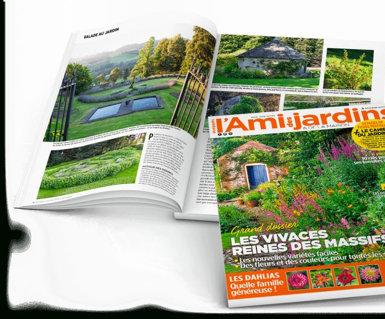 Abonnement Magazine L'ami Des Jardins Au Meilleur Prix avec Abonnement L Ami Des Jardins