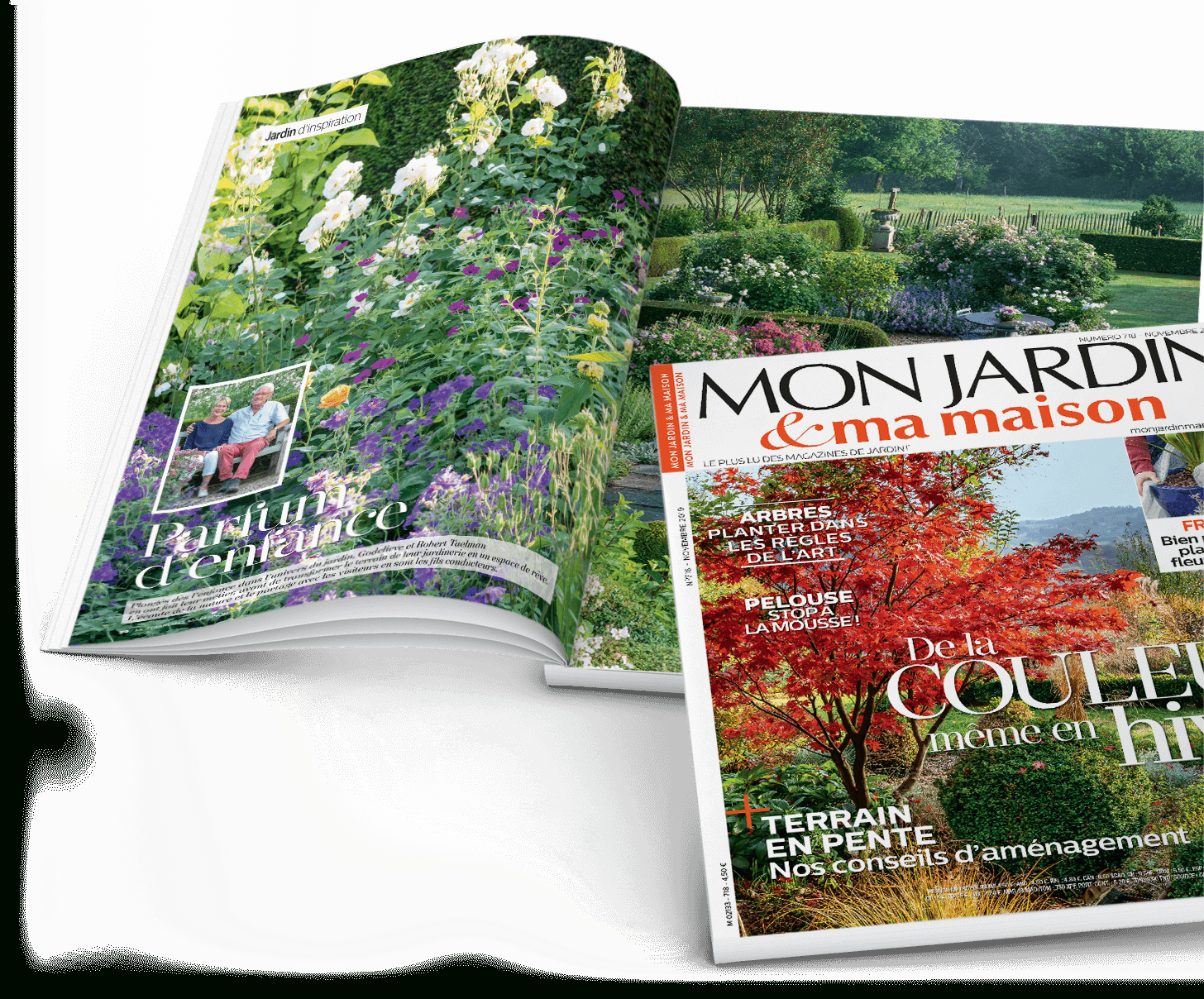 Abonnement Magazine Mon Jardin &amp; Ma Maison Au Meilleur Prix dedans Abonnement L Ami Des Jardins