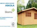 Abri De Jardin En Bois Askola Blooma (610707) Castorama pour Blooma Abris De Jardin