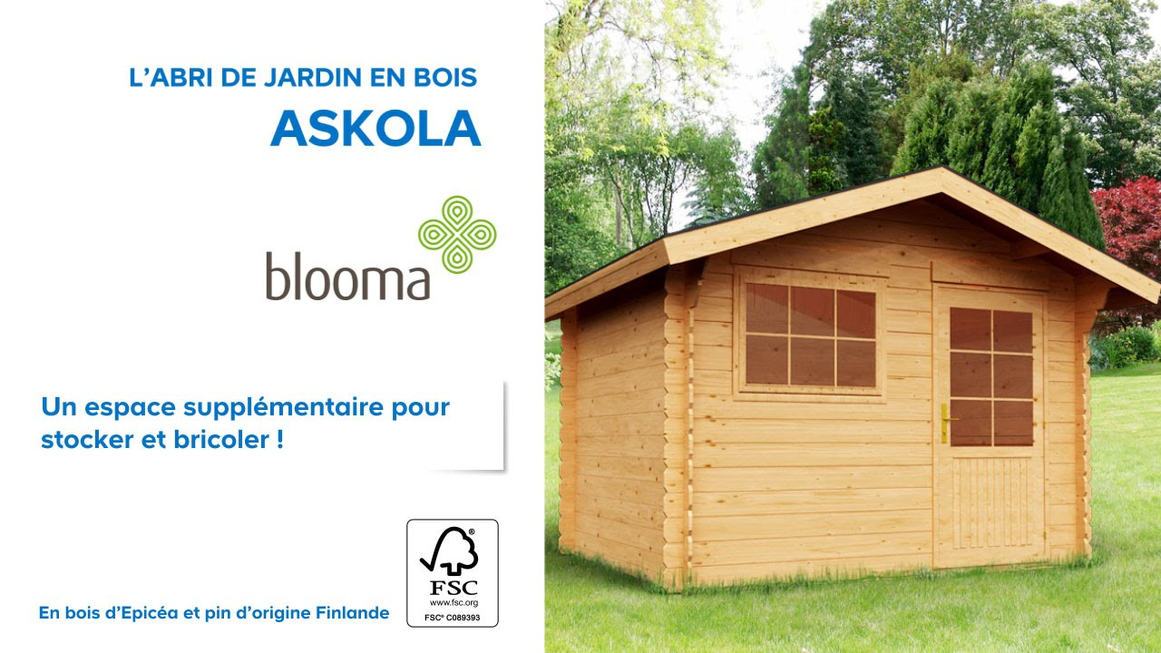 Abri De Jardin En Bois Askola Blooma (610707) Castorama pour Cabanon De Jardin Castorama
