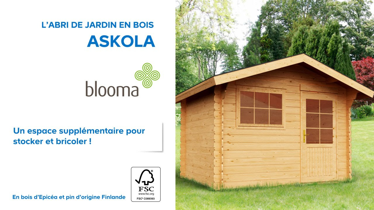 Abri De Jardin En Bois Askola Blooma (610707) Castorama tout Abri De Jardin Casto