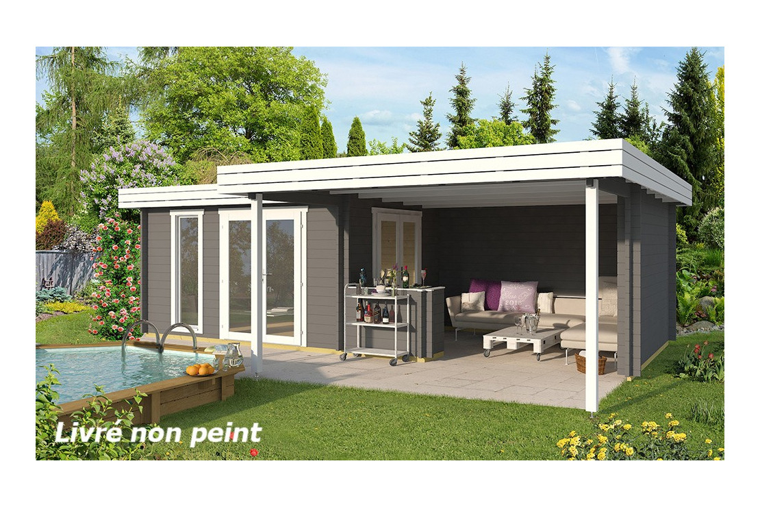 Abri De Jardin Luxembourg 44 Mm - 11,6M² + 18,2M² destiné Abris De Jardin Avec Auvent