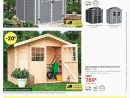 Abri De Jardin Promotion Carrefour Stupéfiant Catalogue ... destiné Carrefour Chalet De Jardin