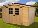 Abri Jardin Bois Alpin 3,10X3,04M 9,42M2 19Mm dedans Abri Jardin 10M2