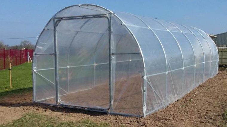 Abris À Légumes Et Fruits, Qualité Professionnelle pour Serre De Jardin Professionnel