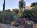 Aménagement D'un Jardin Sec Rocaille - Vente De Cactus Et ... avec Creer Un Jardin Sec