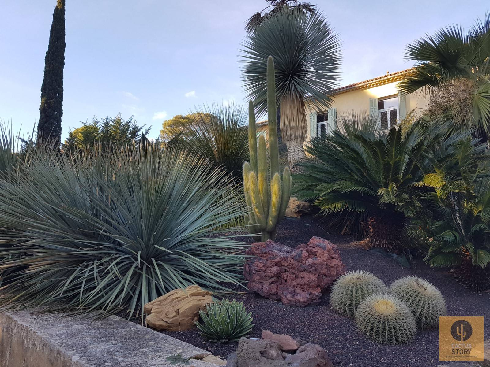 Aménagement D'un Jardin Sec Rocaille - Vente De Cactus Et ... avec Creer Un Jardin Sec
