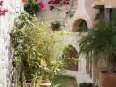 Aménagement Jardin Extérieur Méditerranéen : Quelles Plantes ... destiné Amenagement Jardin Exterieur Mediterraneen