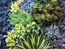 Aménagement Jardin Extérieur Méditerranéen : Quelles Plantes ... tout Amenagement Jardin Exterieur Mediterraneen