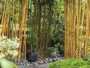 Aménager Un Jardin Japonais Chez Soi pour Jardin Japonais Sur Terrasse