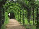 Arceaux Et Tunnels - Métal Vert tout Arceaux Jardin
