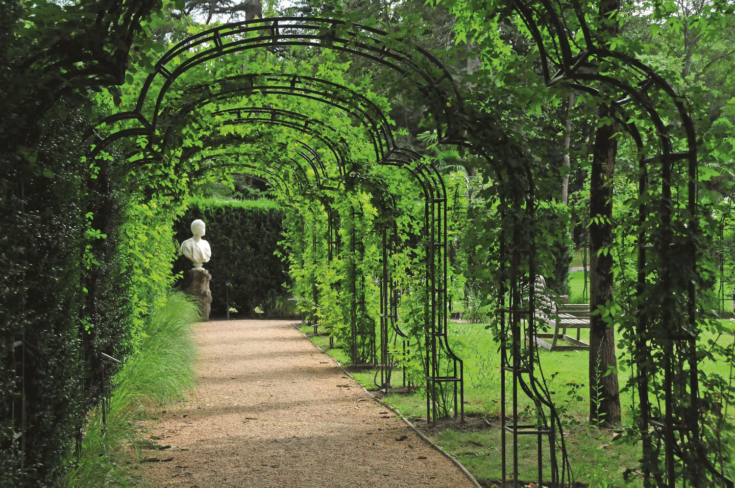 Arceaux Et Tunnels - Métal Vert tout Arceaux Jardin