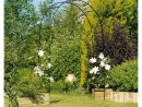 Arche De Jardin, En Métal Easy Arch - Pergola De Jardin ... à Arceaux Jardin