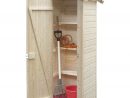 Armoire De Rangement: Epicéa (0.3M²), Olp - Jardinerie ... à Truffaut Abri De Jardin