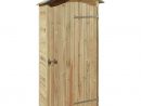 Armoire De Rangement Pour Jardin En Pin 90 X 58 X 204 Cm ... pour Armoires De Jardin