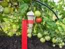 Arrosage Automatique Iriso Goutte A Goutte Jardin Potager dedans Arroseur De Jardin