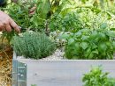 Bac À Potager Et Jardinière Sur Pieds : Botanic®, Carré ... avec Bac À Jardiner