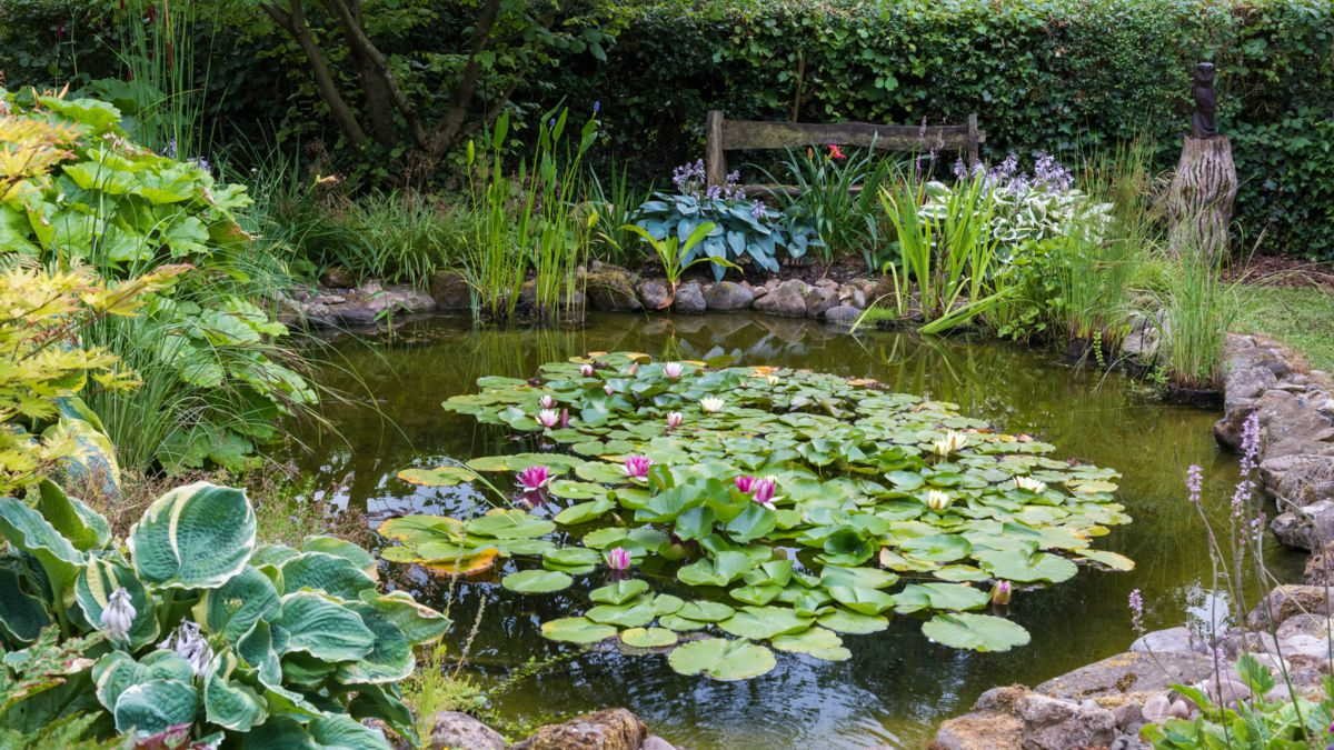 Bassin De Jardin : 10 Conseils Pour L'aménager : Femme ... destiné Aménagement Bassin De Jardin