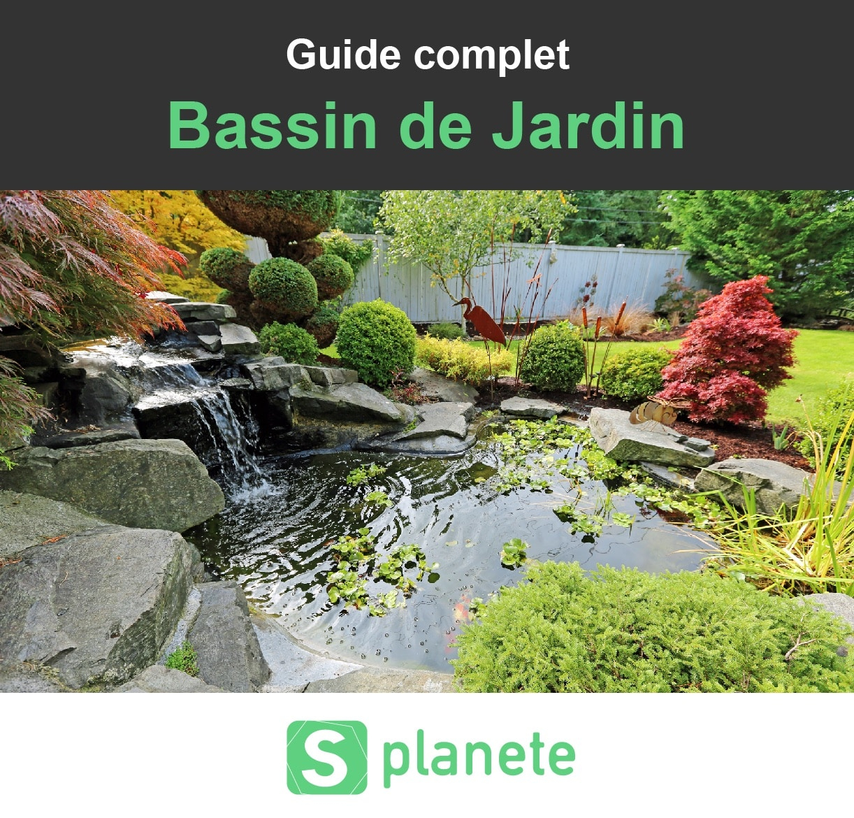 Bassin De Jardin : Construire, Aménager Et Entretenir ... encequiconcerne Aménagement Bassin De Jardin