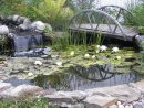 Bassin De Jardin Entretien avec Entretien D Un Bassin De Jardin