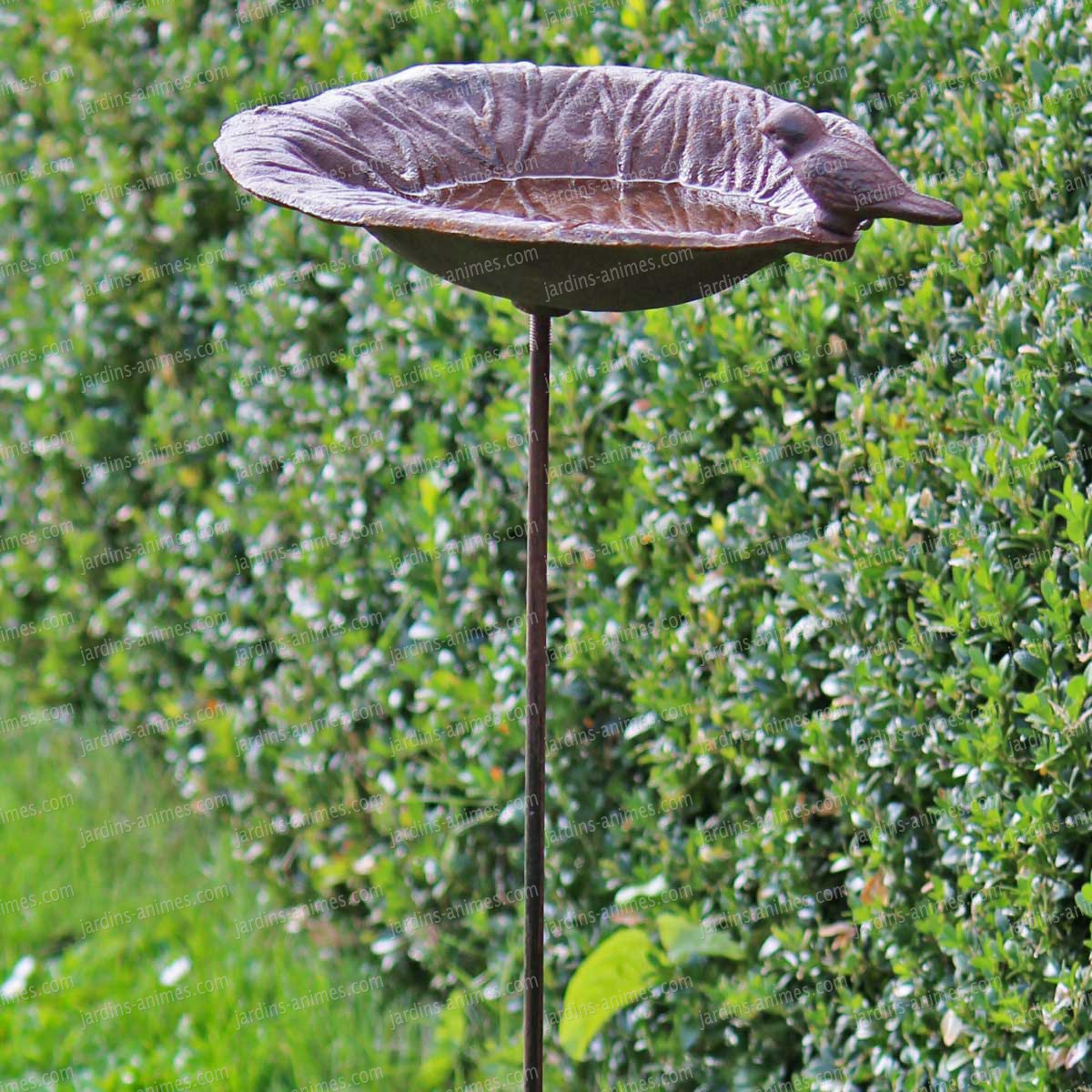 Bassin De Jardin Pour Oiseaux destiné Baignoire Oiseaux Jardin