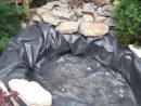 Bassin D'eau | Construire Un Jardin D'eau | Jardin D'eau pour Construction D Un Bassin De Jardin Avec Cascade