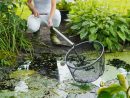 Bien Entretenir Votre Bassin De Jardin concernant Entretien D Un Bassin De Jardin