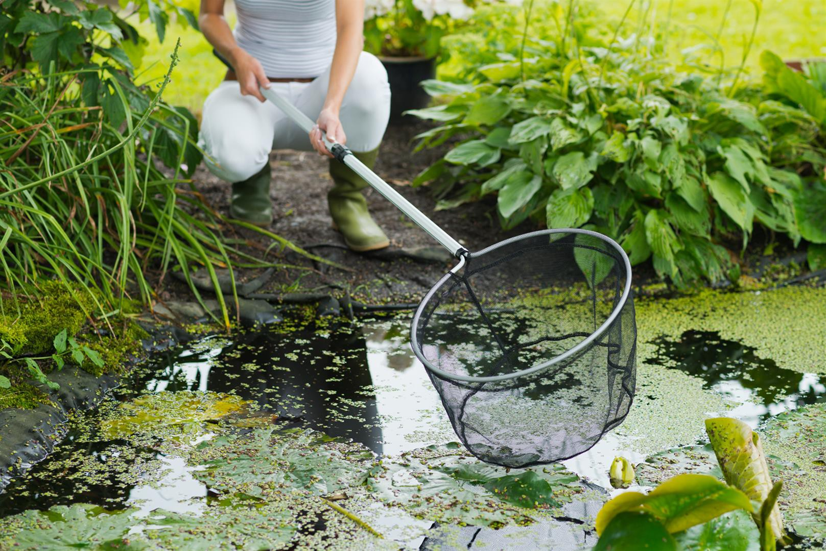 Bien Entretenir Votre Bassin De Jardin concernant Entretien D Un Bassin De Jardin