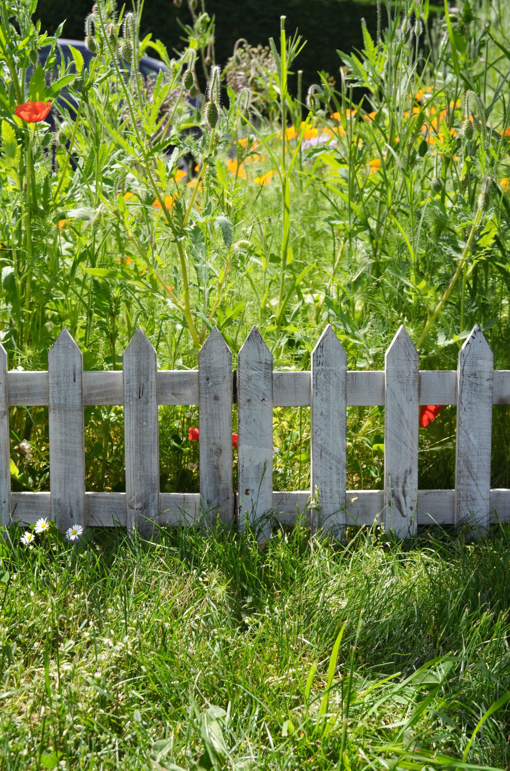 Bordure De Jardin Articulée En Bois De Sapin Pour La ... serapportantà Barriere Pour Jardin