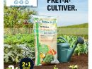 Catalogue Leclerc Du 11 Au 29 Février 2020 (Jardin ... serapportantà Leclerc Jardin Catalogue