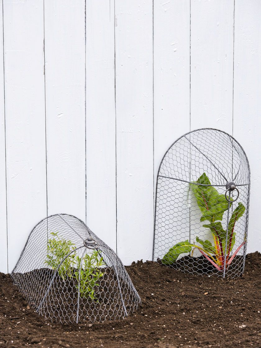 Chicken Wire Cloche Plant Protector, 3-In-1 | Gardeners ... pour Protection Grillage Jardin