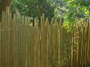 Clôture Bambou Japonaise Ø5Cm concernant Pare Vue Jardin