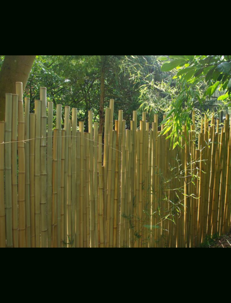 Clôture Bambou Japonaise Ø5Cm concernant Pare Vue Jardin