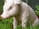 Cochon Assis En Fibre De Verre, 37 Cm, Animal De La Ferme, Achat/vente,  Porc , Petit Cochon encequiconcerne Animaux Deco Jardin