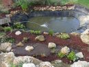 Comment Aménager Un Bassin Dans Son Jardin ? dedans Aménagement Bassin De Jardin