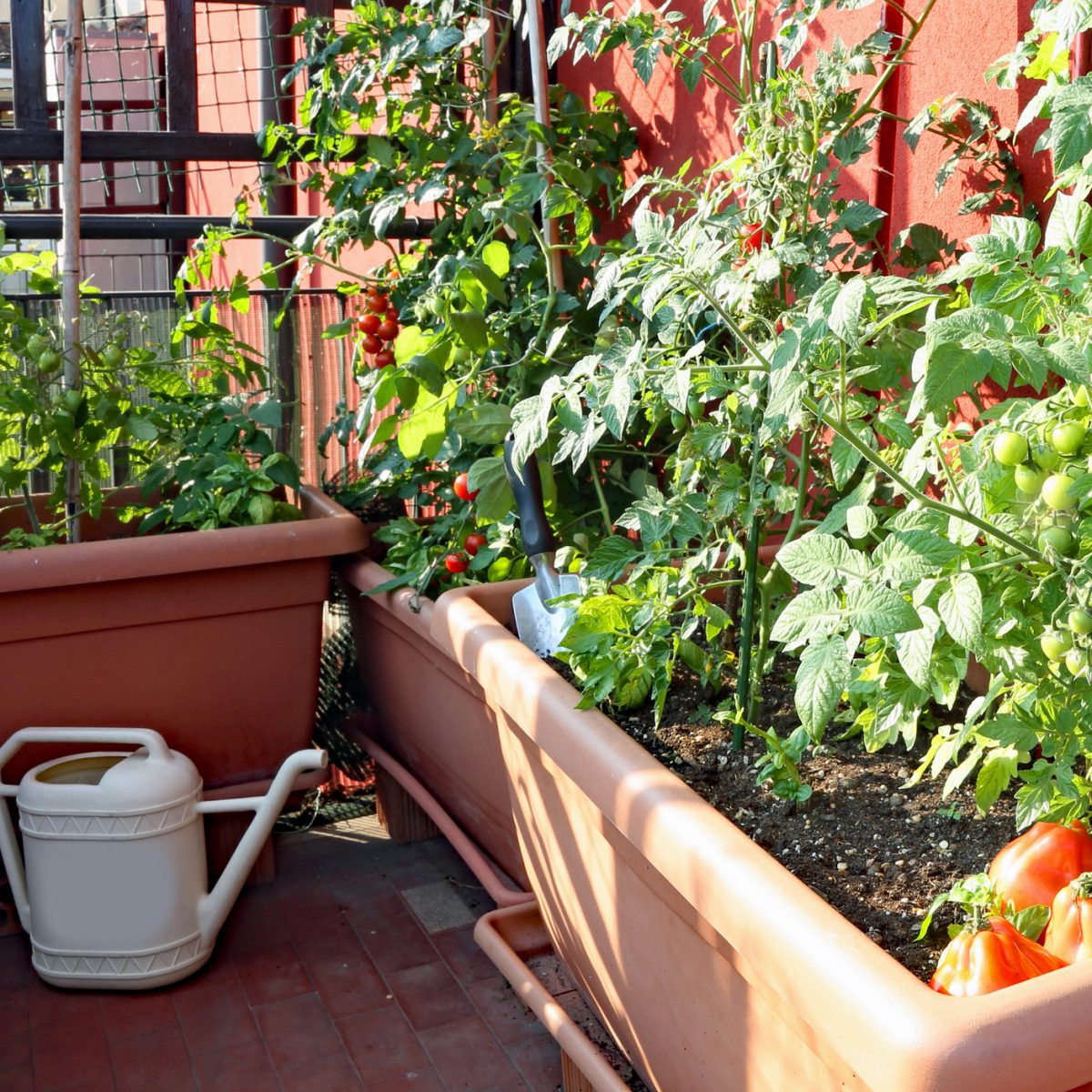 Comment Aménager Un Jardin Potager Sur Son Balcon ? – La destiné