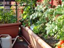 Comment Aménager Un Jardin Potager Sur Son Balcon ? – La ... serapportantà Un Jardin Sur Mon Balcon