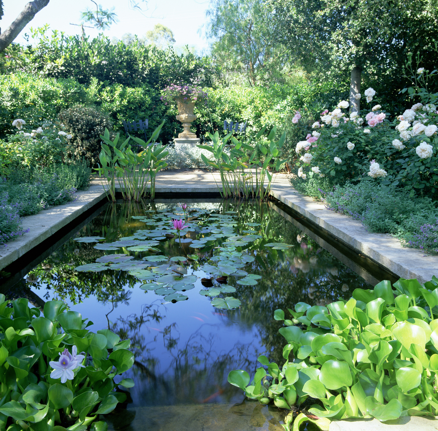 Comment Entretenir Un Bassin De Jardin ? avec Entretien D Un Bassin De Jardin