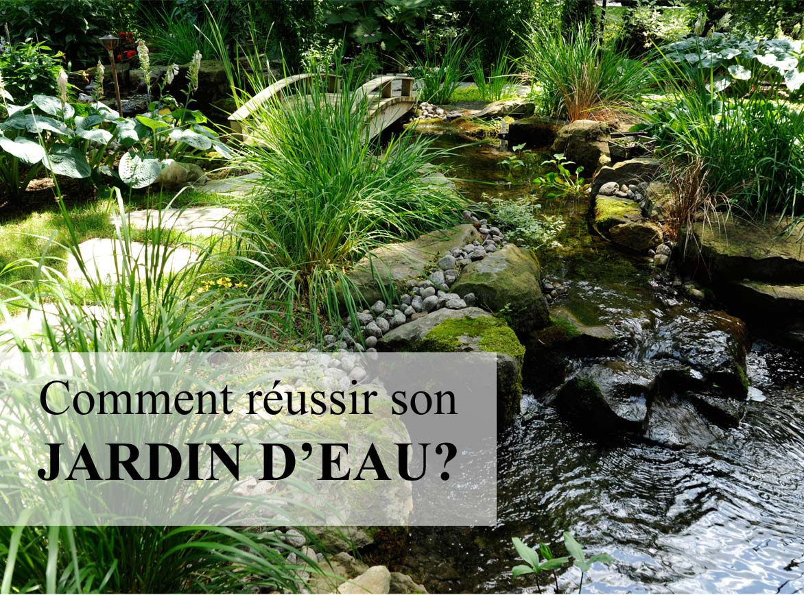 Comment Faire Son Jardin D'eau : Trucs Et Astuces Pour ... concernant Petit Bassin Pour Jardin