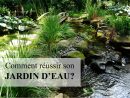 Comment Faire Son Jardin D'eau : Trucs Et Astuces Pour ... encequiconcerne Chute D Eau Bassin De Jardin