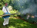 Confiez Votre Démoustication Au Spécialiste Anti-Moustique dedans Traitement Moustique Jardin