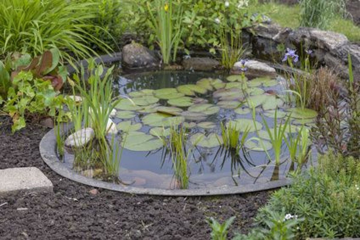 Construction D'un Bassin De Jardin dedans Construction D Un Bassin De Jardin Avec Cascade