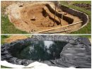 Construire Un Bassin De Jardin Pour Poissons En 2020 ... pour Amenagement De Bassins De Jardin