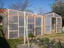 Construire Une Serre En Bois De 24M² encequiconcerne Fabriquer Serre De Jardin Polycarbonate