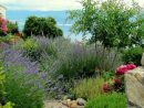 Côte D'azur : Les Conseils Pour Un Beau Jardin Méditerranéen concernant Exemple De Jardin Méditerranéen