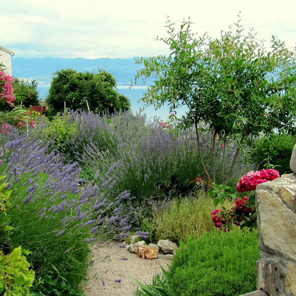 Côte D'azur : Les Conseils Pour Un Beau Jardin Méditerranéen concernant Exemple De Jardin Méditerranéen