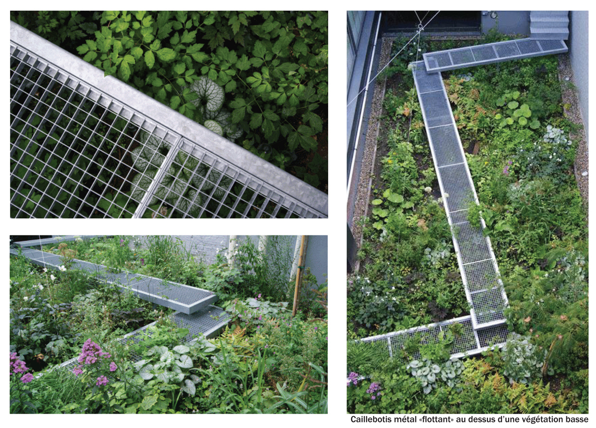 Création D'un Jardin Dans Un Espace Boisé Classé pour Caillebotis De Jardin